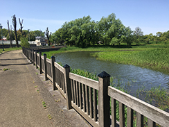 熊谷市別府沼公園