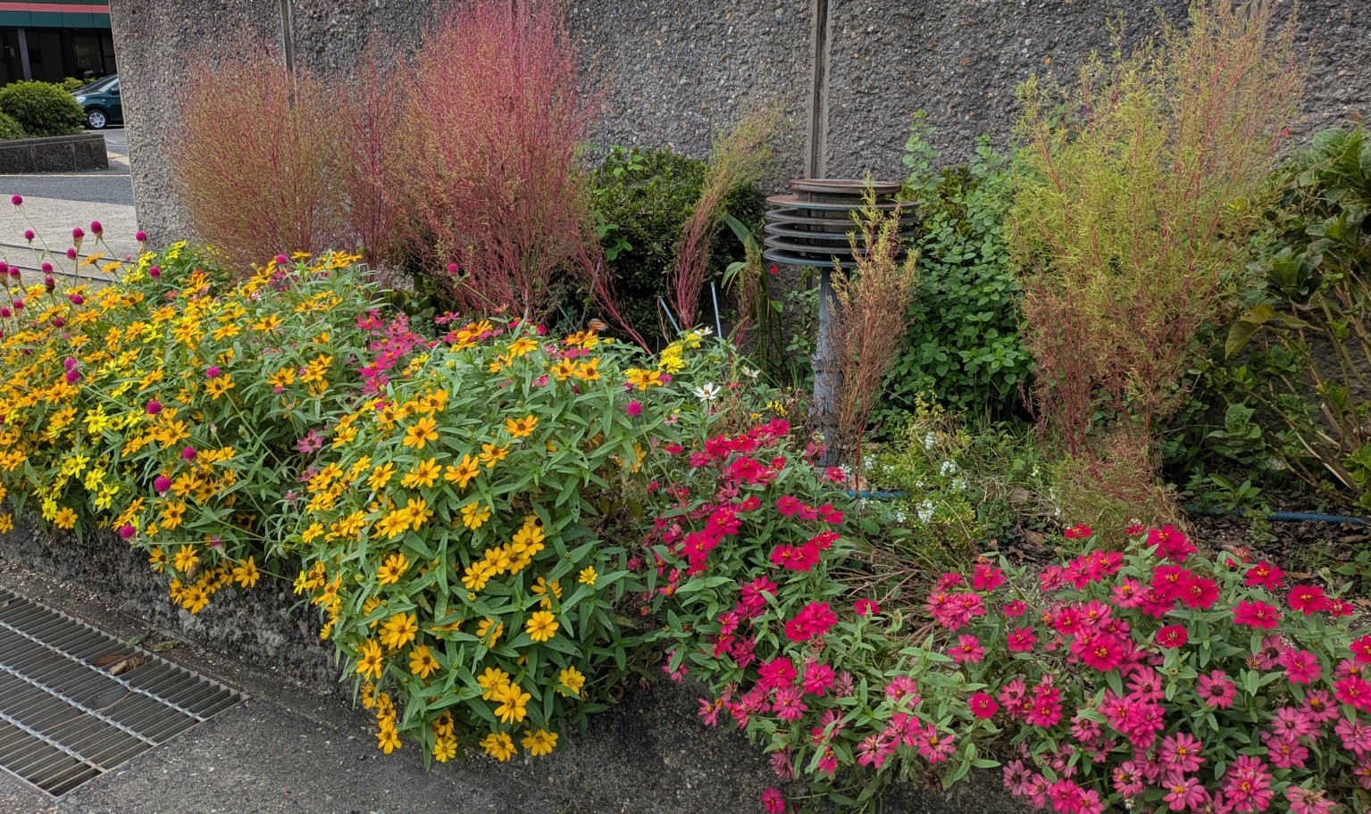 PXL_20251010_013446388.jpg PXL_20251010_013446388.jpg